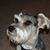 Debbie Mercer Aultman's profile image