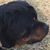 Brenda Patterson's profile image