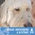 Missy Cassell Dossett's profile image