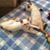 Nancy Lynn Bax's profile image