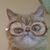 Jennifer Novak's profile image