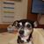 Kelly Dornfield's profile image