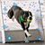 Diane Pokorny Martin's profile image
