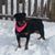 Tami Thompson's profile image