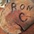 Ronnie Covelli's profile image