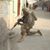 Vishal Singh's profile image