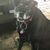 Dixie Smith Briggs's profile image
