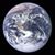 Christopher Brock Nelson's profile image