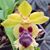Paula Iwanowski's profile image