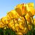 Nazra Parveen's profile image