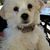 Charlene Winkler's profile image
