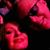 Carolyn Plath's profile image