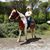 Evgeniy Sudnev's profile image
