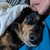 Daniel Noval's profile image