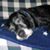 Christopher Buckner's profile image