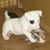 Beverley Brenneman's profile image