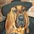 Robert Bootes's profile image