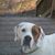 Dawn Hess-Hoffman's profile image