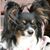 Linda Kelsch's profile image