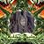 Jorge Aberle's profile image