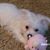 Carole B. Eubanks's profile image
