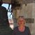 Jeannette Dittmann's profile image