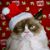 Holly Golightlee's profile image