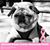 Frances Hanna's profile image