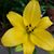 Cathy Zaragoza's profile image