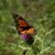 Lynn Winkelbauer's profile image