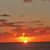 Debbie Marting's profile image