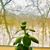Meenu Minu's profile image