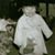 Lorraine Franzen's profile image