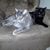 Nicki Kroll's profile image