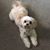 Jacqui Lancaster's profile image