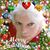 Marcy Fogarty's profile image