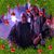 Judy Scott's profile image