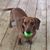 Traci Sayre's profile image