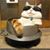 Geoffrey Garrett's profile image