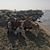 Sean M. Rowe's profile image