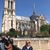 Diana Miret's profile image