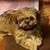 Melody Diane Harbin Fowler's profile image