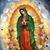 Maktub Sotelo Bega's profile image