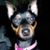 Doug Marrs's profile image