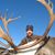 Chris Bunch's profile image