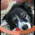 Susan Daggett's profile image