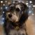 Geraldine Elwood Finnan's profile image