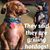 Johna Danner's profile image
