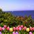 Carolyn B. D'Annolfo's profile image