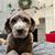 Janis Bautz's profile image